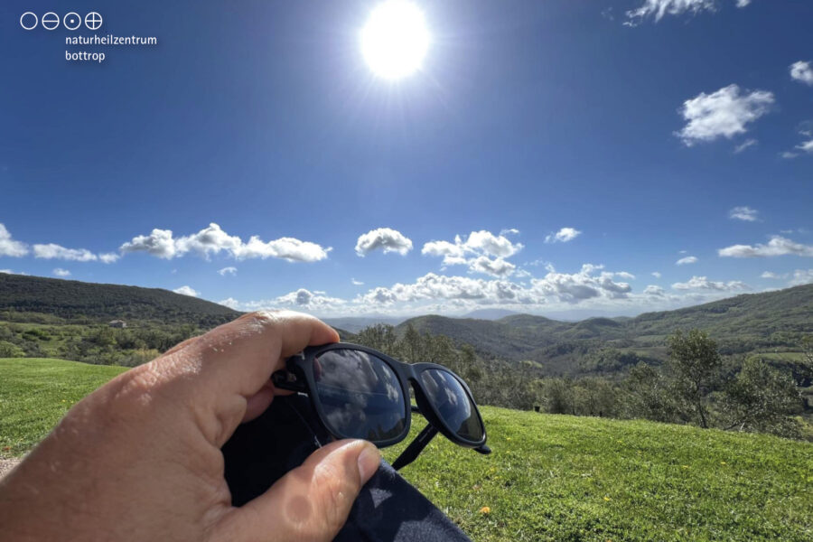 Hand mit Sonnenbrille vor Sommerwiese und blauem Himmel