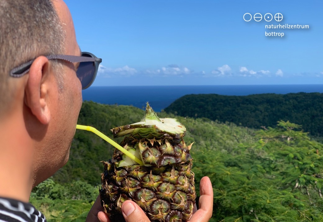 Man drinks juice from a pineapple