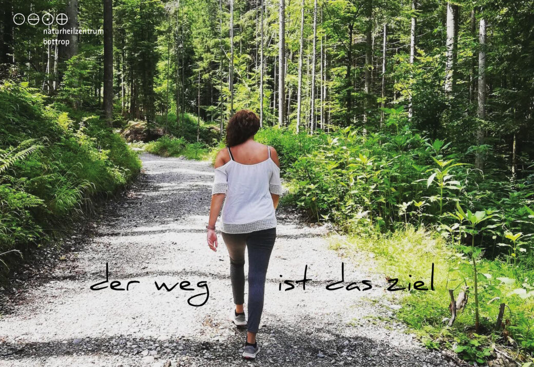 Le calme intérieur grâce à une pause dans la forêt