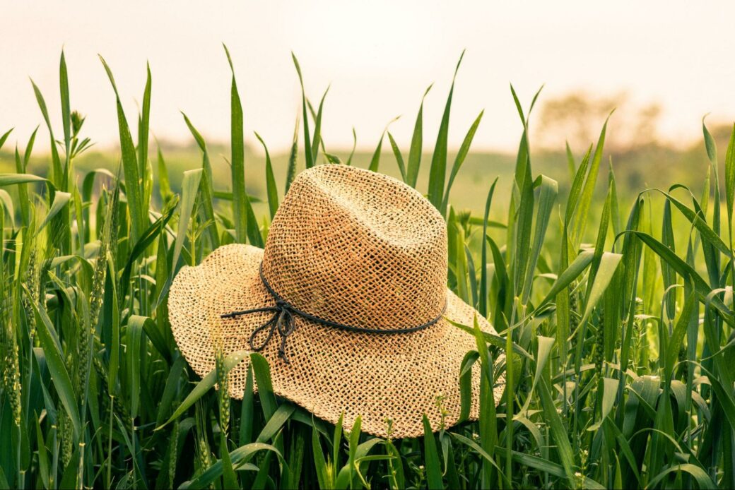 Straw hat on meadow