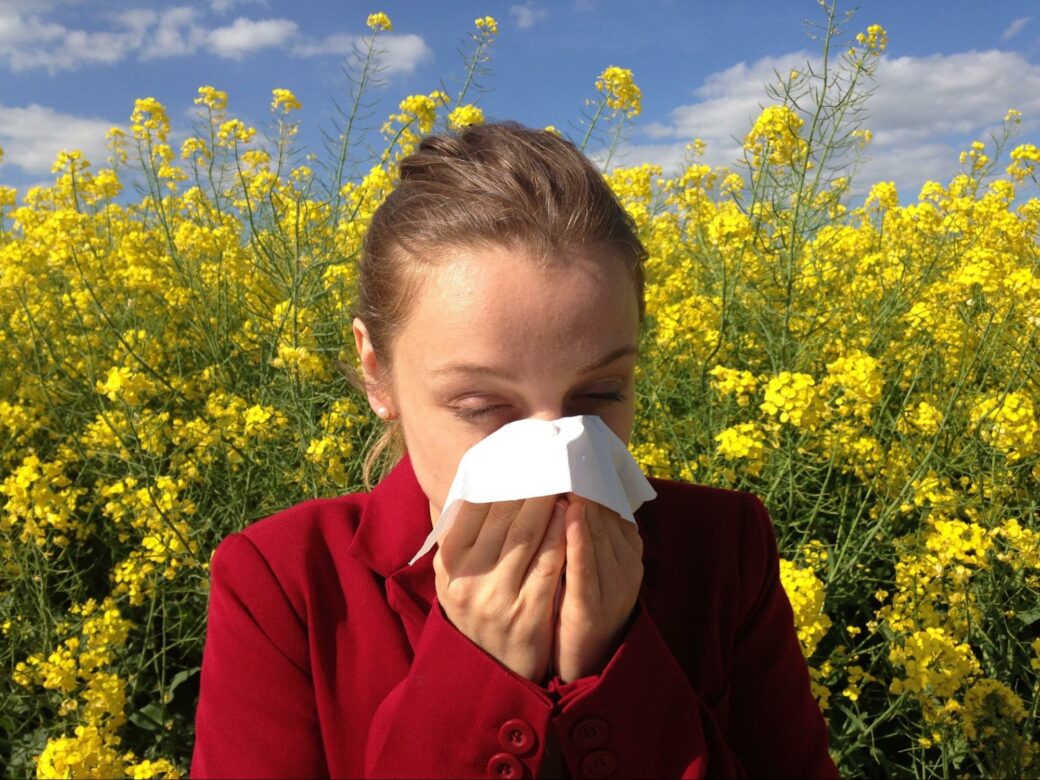 Cough, sneeze, serenity – my life with hay fever