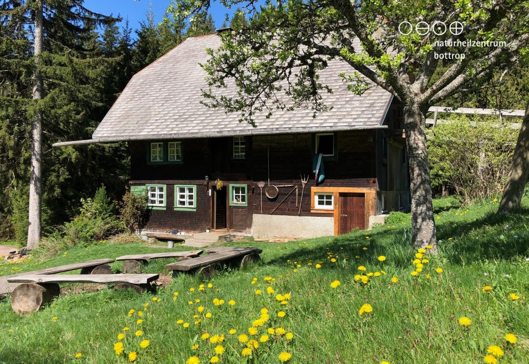 lick auf ein Holzhaus in den Alpen