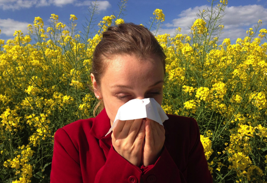 Cough, sneeze, serenity – my life with hay fever
