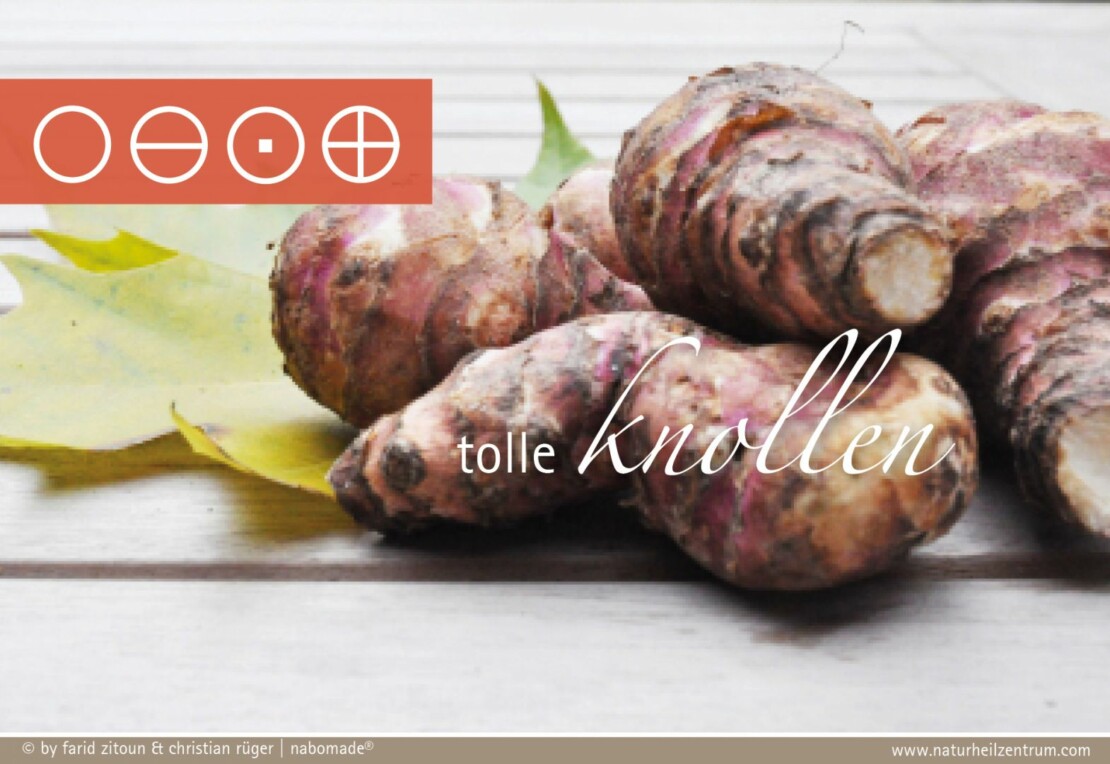 In the nabo health blog: the vitamin-rich Jerusalem artichoke – looks like ginger, but with a piquant effect