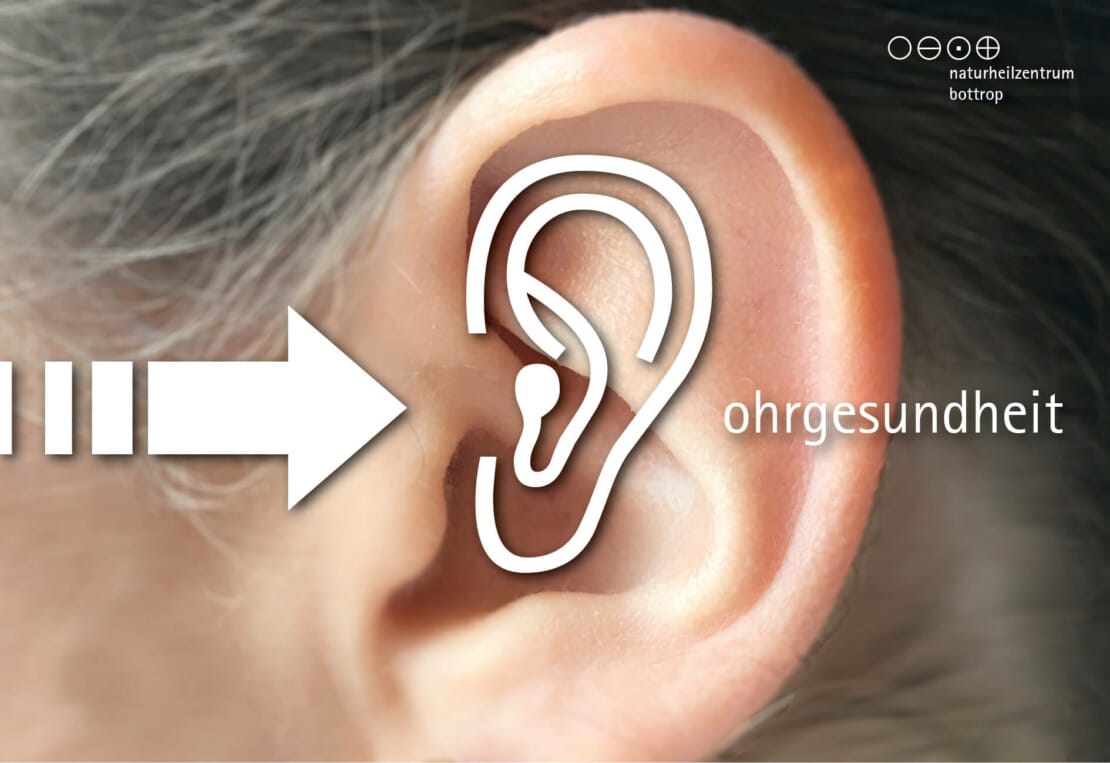 Maux d’oreilles et naturopathie – l’oignon contre les otites ?