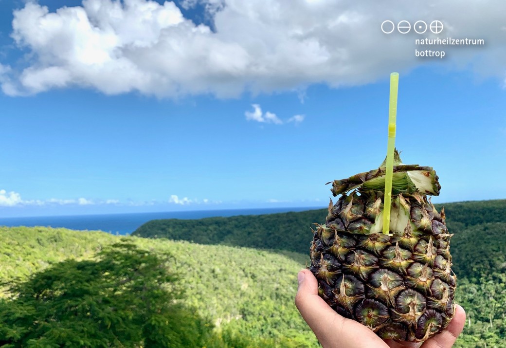 Fresh pineapple with straw against backdrop of mountains and sea