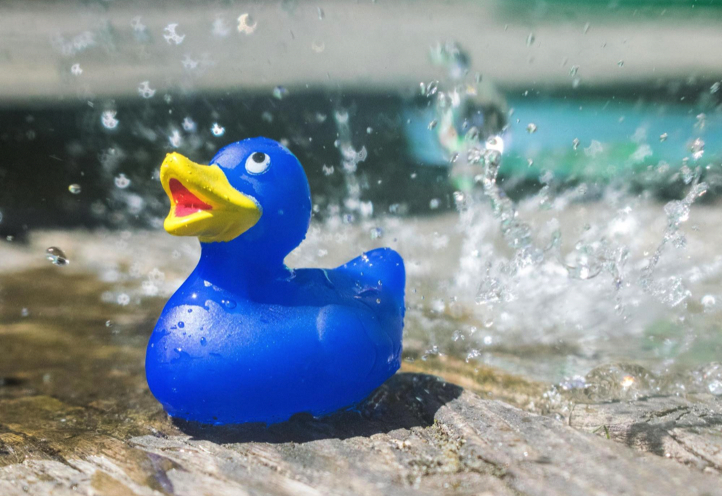 Bath duck