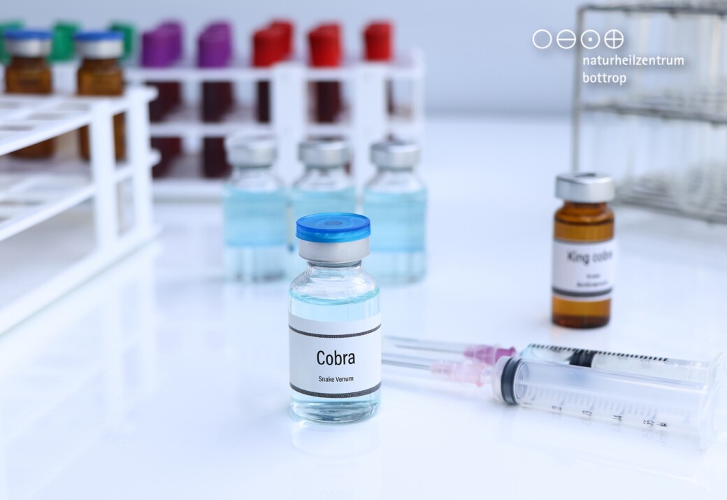 On a laboratory table are several small glass vials of blue liquid, labeled 'Cobra' and 'King Cobra'. Next to them are two disposable syringes. Test tubes in holders are visible in the background.